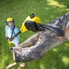 Best Lawn Fertilization  in Chestertown, MD